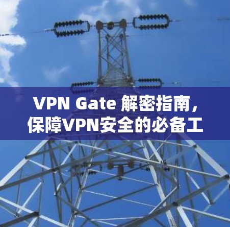 VPN Gate 解密指南，保障VPN安全的必备工具