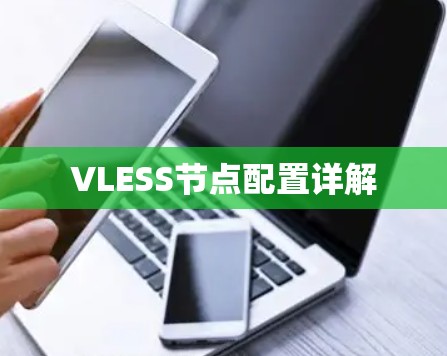 VLESS节点配置详解