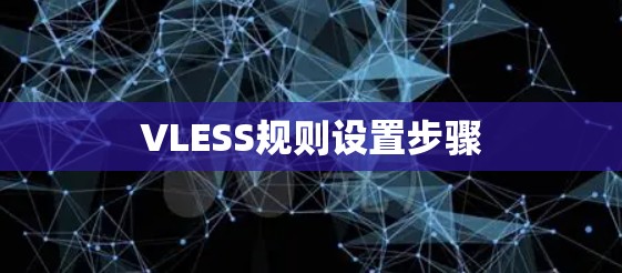 VLESS规则设置步骤