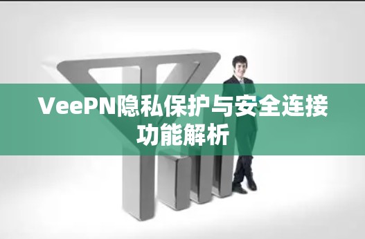 VeePN隐私保护与安全连接功能解析