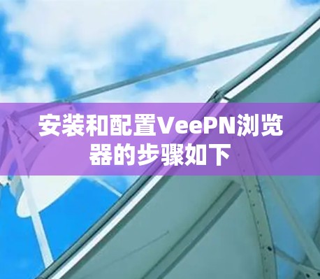 安装和配置VeePN浏览器的步骤如下