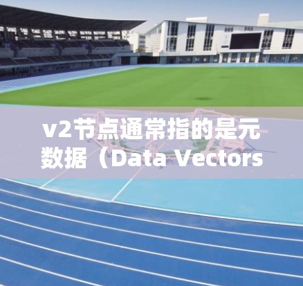 v2节点通常指的是元数据（Data Vectors）或服务（Service Vectors）在网络中的层次结构，特别是面向元数据的架构。v2节点通常位于元数据层，用于存储和管理元数据的结构化信息