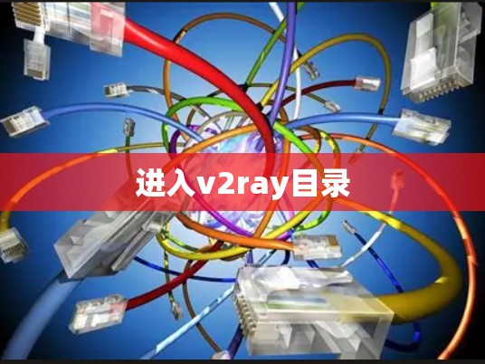 进入v2ray目录