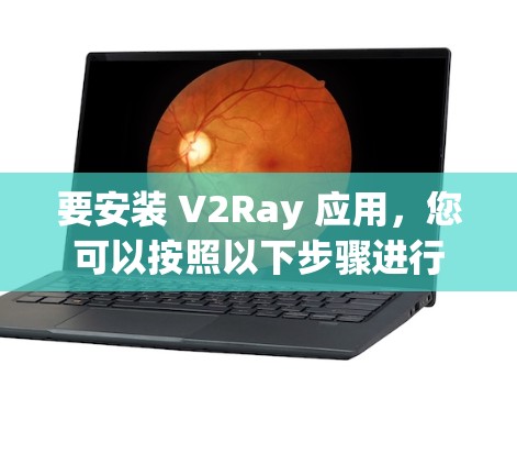 要安装 V2Ray 应用，您可以按照以下步骤进行