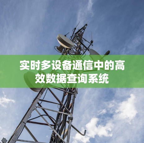 实时多设备通信中的高效数据查询系统