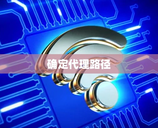 确定代理路径
