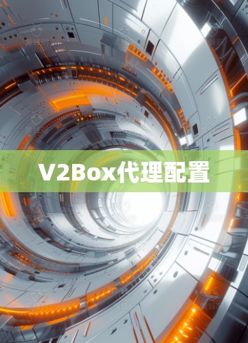 V2Box代理配置