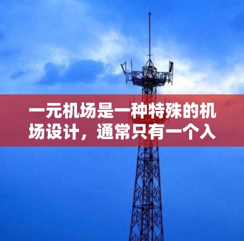一元机场是一种特殊的机场设计，通常只有一个入口或窗口，这种设计往往被认为可以提高效率、节省时间，并提供独特的用户体验。以下是一元机场的一些设计和功能特点