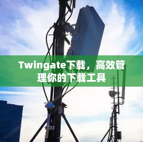 Twingate下载，高效管理你的下载工具