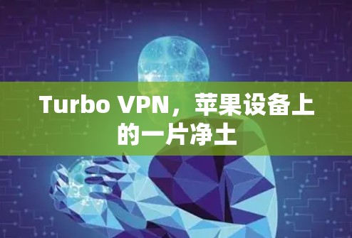 Turbo VPN，苹果设备上的一片净土