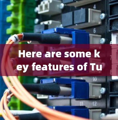 Here are some key features of Tunnelblick客户端: