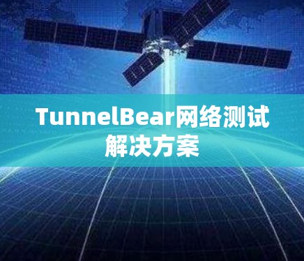TunnelBear网络测试解决方案