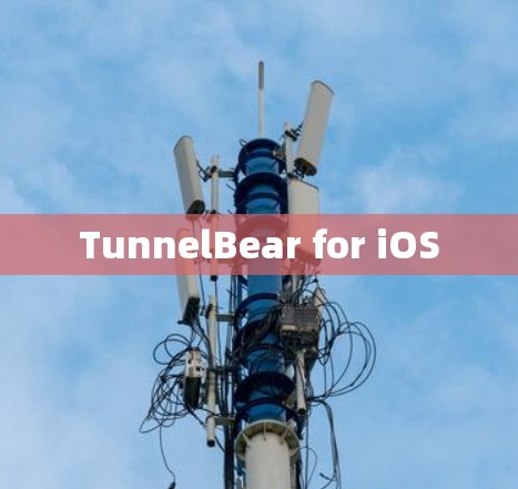TunnelBear for iOS