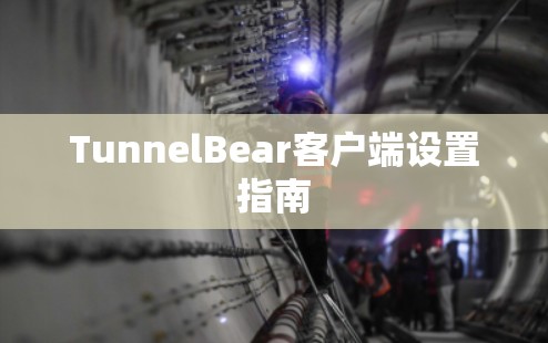 TunnelBear客户端设置指南