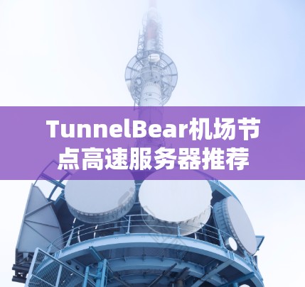 TunnelBear机场节点高速服务器推荐
