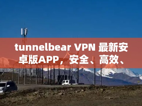tunnelbear VPN 最新安卓版APP，安全、高效、无攻击性，你值得拥有！