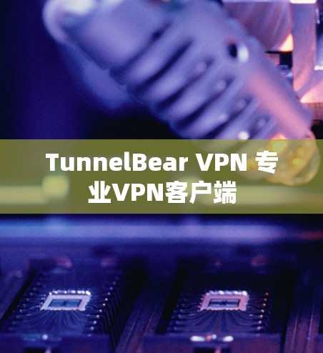 TunnelBear VPN 专业VPN客户端