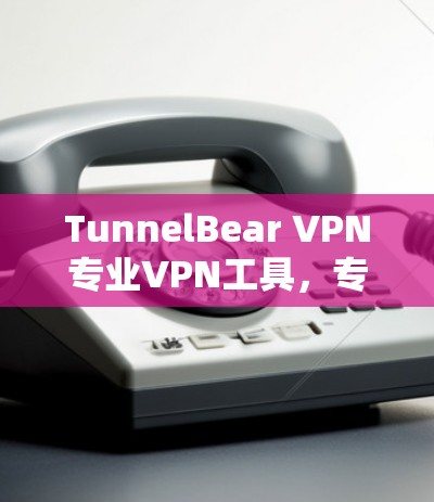 TunnelBear VPN专业VPN工具，专业级防护，轻松构建安全VPN