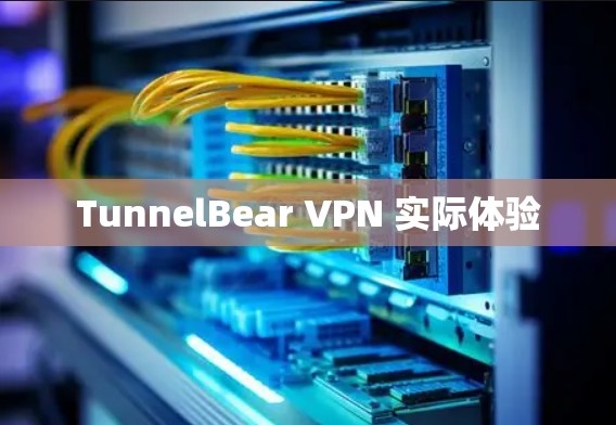 TunnelBear VPN 实际体验