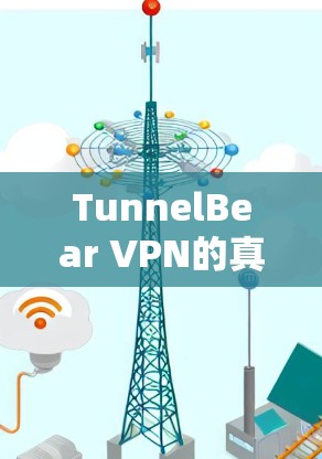 TunnelBear VPN的真实体验，安全、性能与易用性全解析