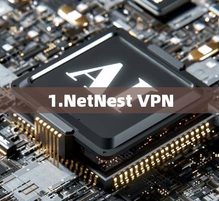 1.NetNest VPN