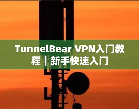 TunnelBear VPN入门教程｜新手快速入门