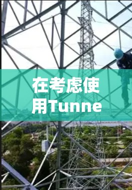 在考虑使用TunnelBear VPN时，以下是对其进行全面评估的关键点