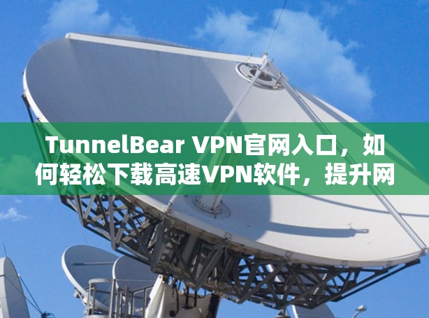 TunnelBear VPN官网入口，如何轻松下载高速VPN软件，提升网络体验