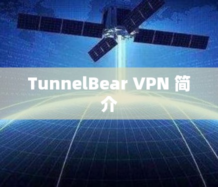 TunnelBear VPN 简介
