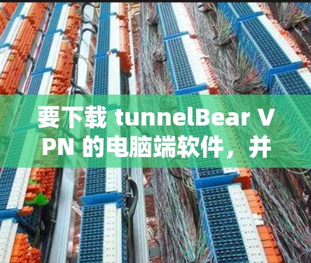 要下载 tunnelBear VPN 的电脑端软件，并成功使用，您可以按照以下步骤操作