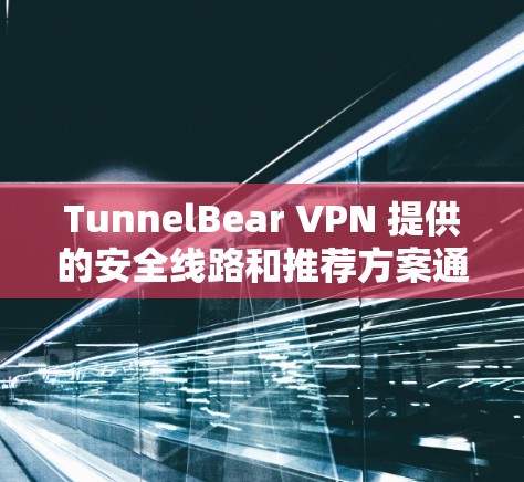 TunnelBear VPN 提供的安全线路和推荐方案通常基于其加密技术和安全措施。以下是一些常用的安全线路和推荐方案，供您参考