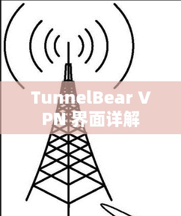 TunnelBear VPN 界面详解