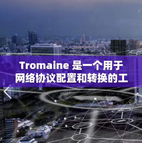 Tromaine 是一个用于网络协议配置和转换的工具，尤其适合在软件定义网络（SDN）中使用。以下是一步到位的使用步骤，帮助你掌握Tromaine的基本功能，特别是调整IP地址的端口配置
