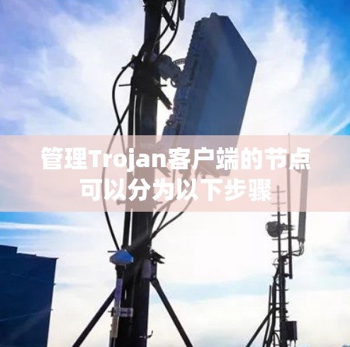 管理Trojan客户端的节点可以分为以下步骤
