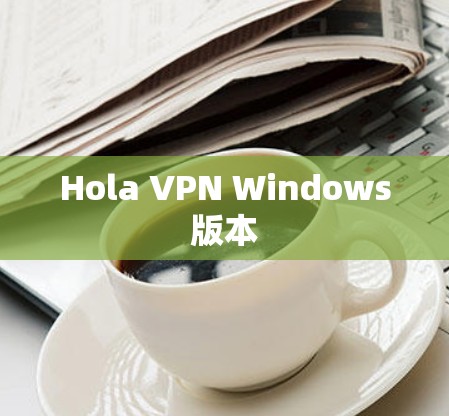 Hola VPN Windows版本
