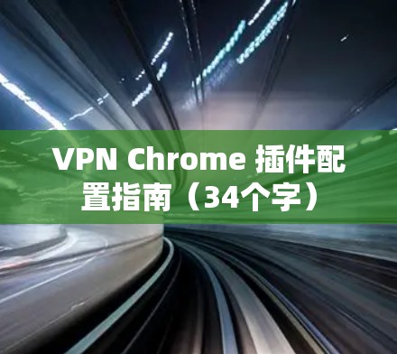 VPN Chrome 插件配置指南（34个字）