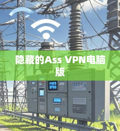 隐藏的Ass VPN电脑版