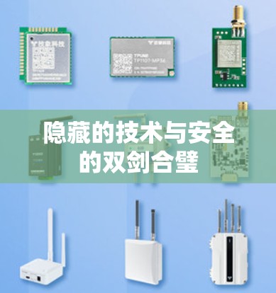 隐藏的技术与安全的双剑合璧