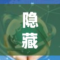 隐藏的VPN电脑客户端