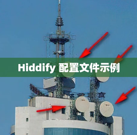 Hiddify 配置文件示例