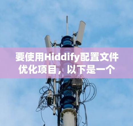 要使用Hiddify配置文件优化项目，以下是一个清晰的步骤指南