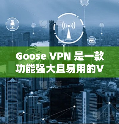 Goose VPN 是一款功能强大且易用的VPN软件，以其高效、安全和直观的界面著称。以下是对其体验的评测