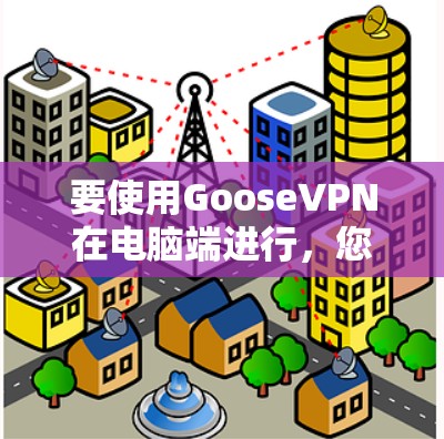 要使用GooseVPN在电脑端进行，您可以按照以下步骤进行