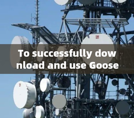 To successfully download and use Goose VPN,follow these organized steps: