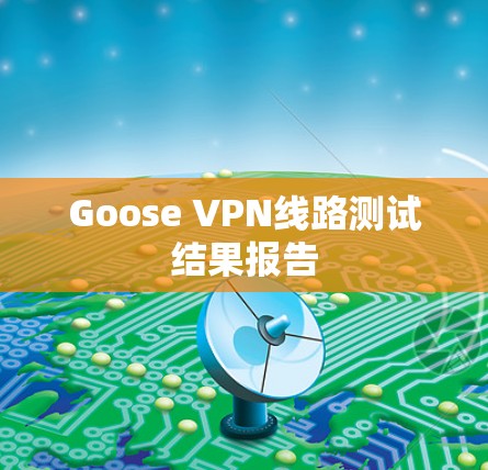 Goose VPN线路测试结果报告