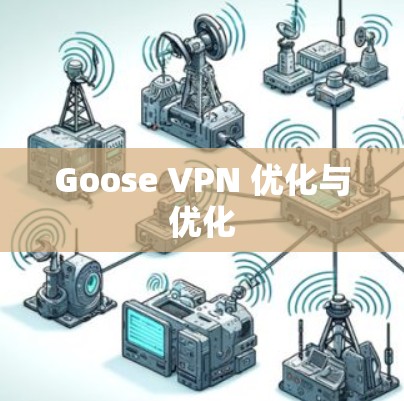Goose VPN 优化与优化