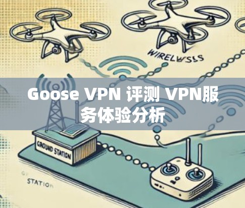 Goose VPN 评测 VPN服务体验分析