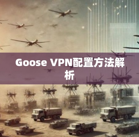 Goose VPN配置方法解析