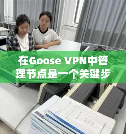 在Goose VPN中管理节点是一个关键步骤，有助于确保网络安全和高效。以下是详细的步骤指南