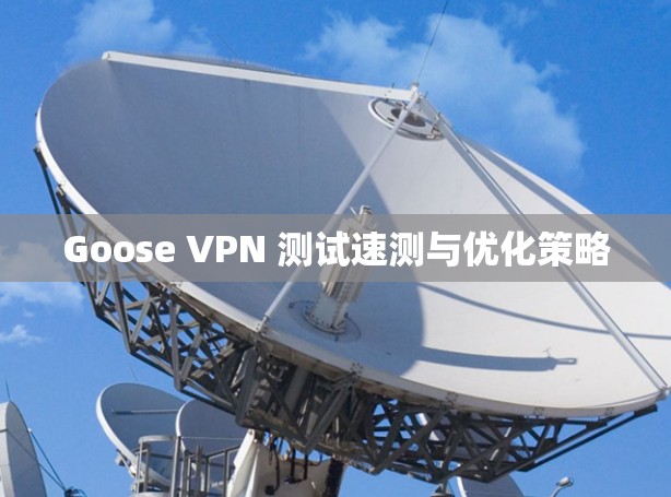 Goose VPN 测试速测与优化策略